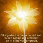 Dru yoga Nidra
